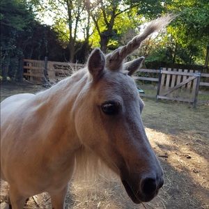 Meet your Posher, Wendy